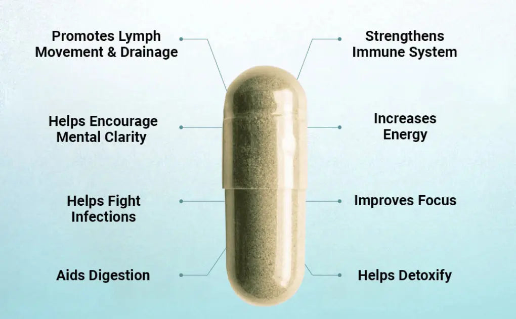 LYMPHX – Advanced Natural Defense & Total Body Wellness