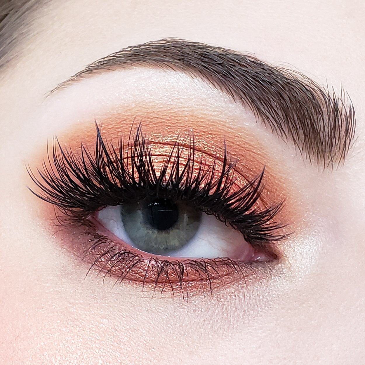 Crown Pro 10 Color Fuego Collection