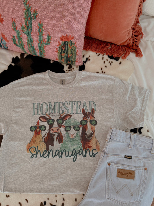 HOMESTEAD SHENANIGANS