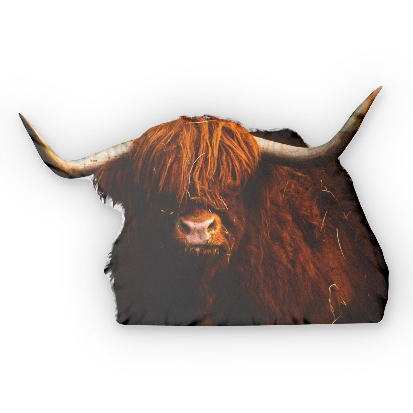 Highland Cow Pillow - SmorgeousByGina