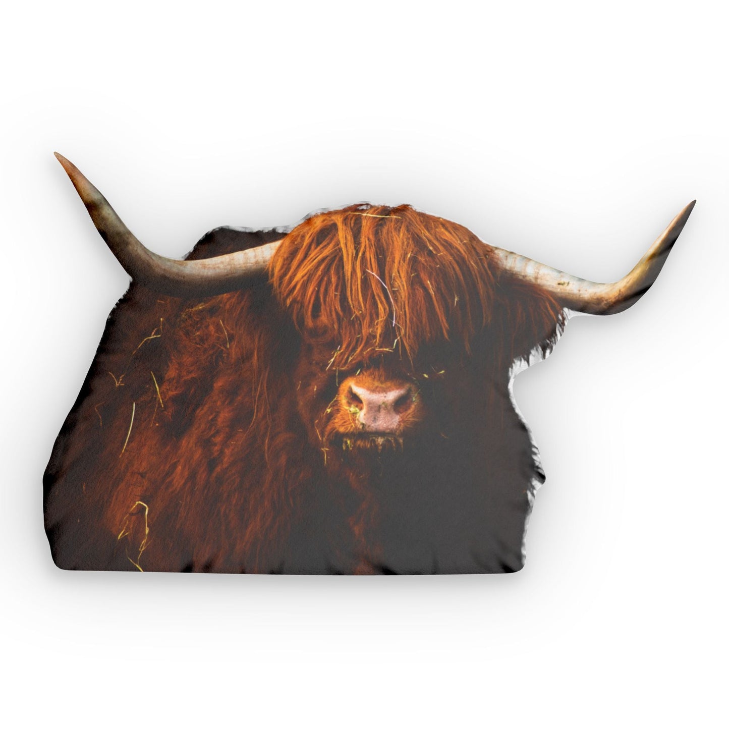 Highland Cow Pillow - SmorgeousByGina