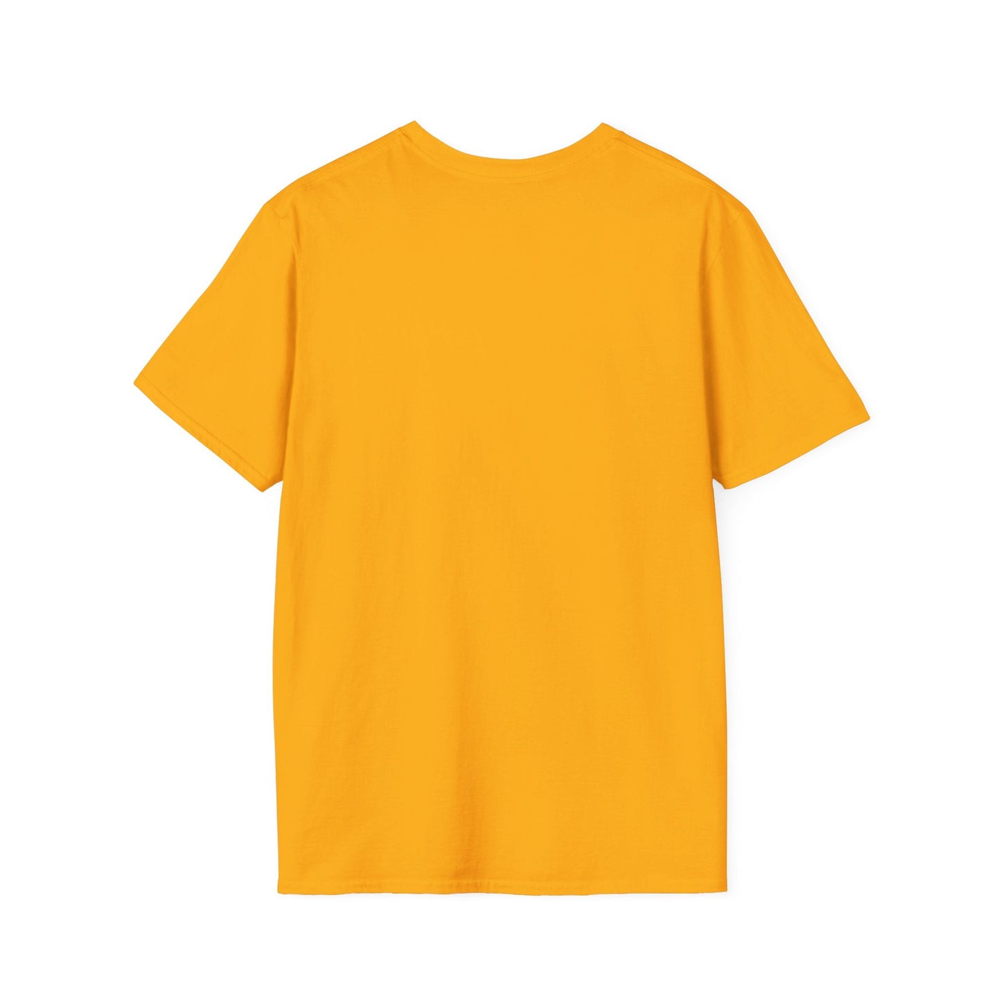 Queen Bee Tee, Queen Bee Shirt, Bee Shirt, Bees, Softstyle T-Shirt, Celebrate Spring Tee - SmorgeousByGina