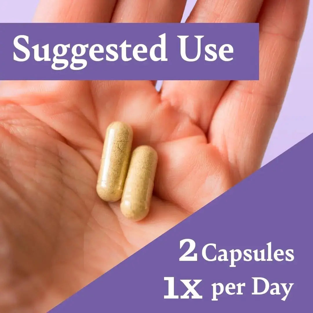 Liver Support with Milk Thistle — Herbal Wellness Supplement