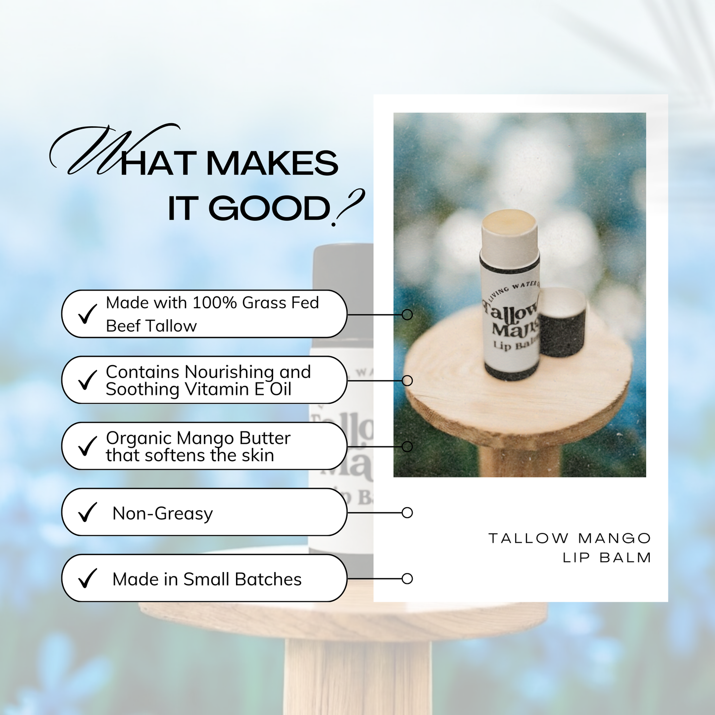 Tallow and Mango Lip Balm