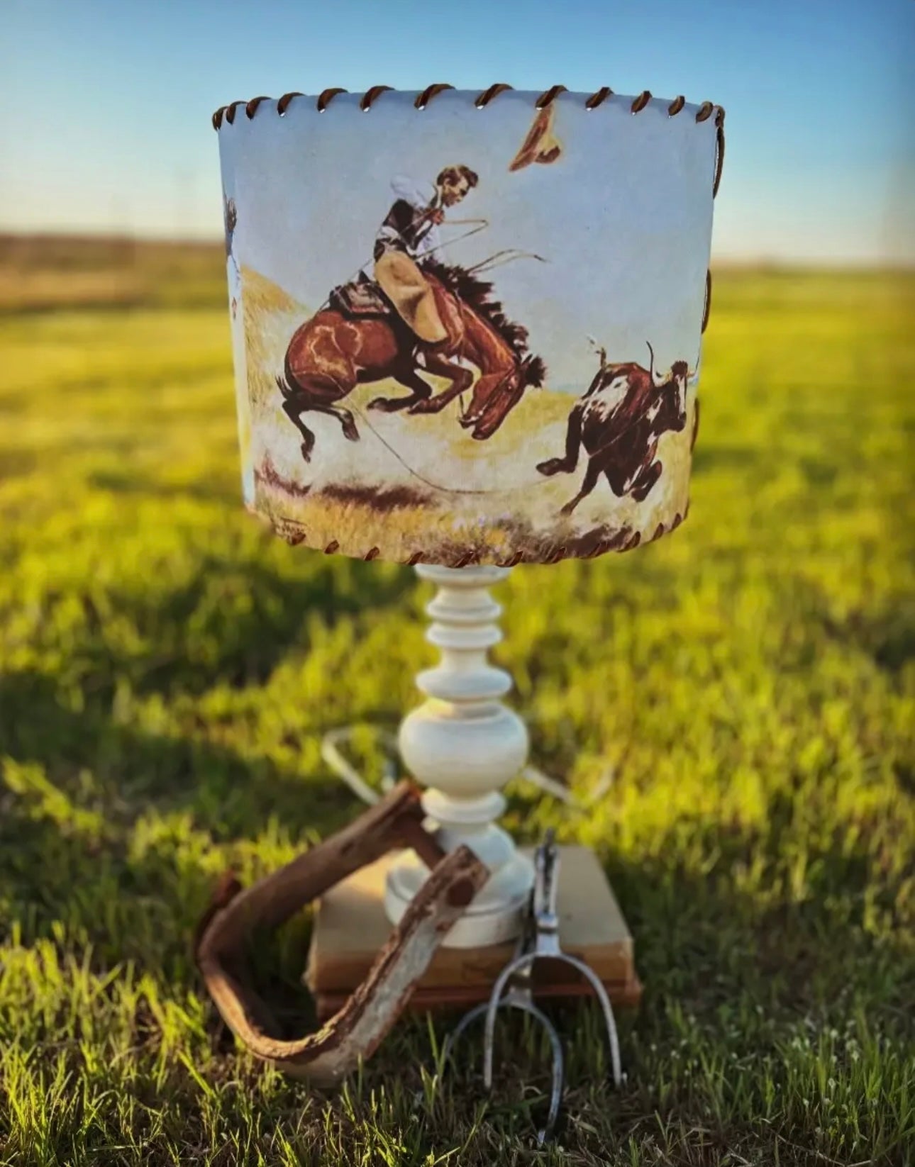 The Will James Wild Bunch Lampshade