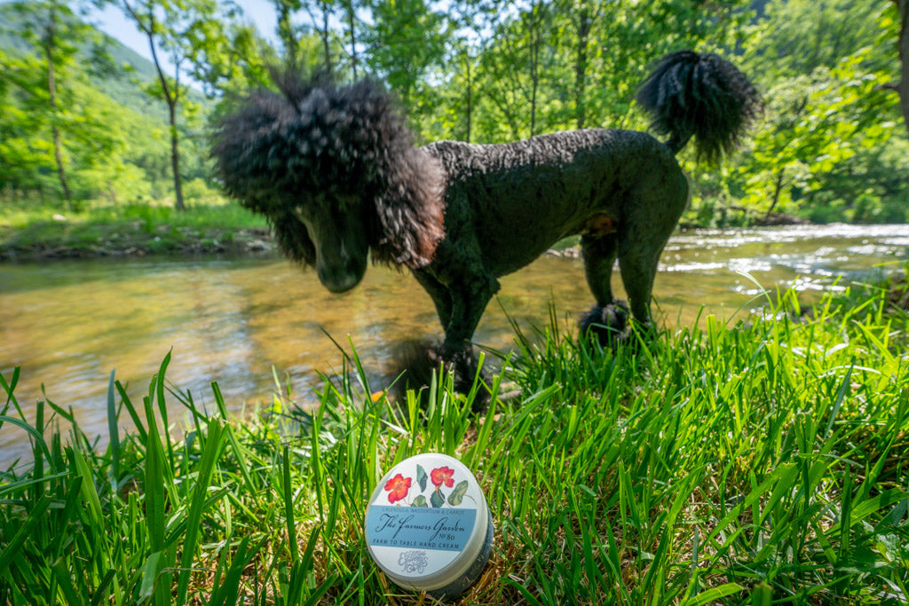 THE FARMERS GARDEN 8 oz. ~ FARM TO TABLE HAND CREAM