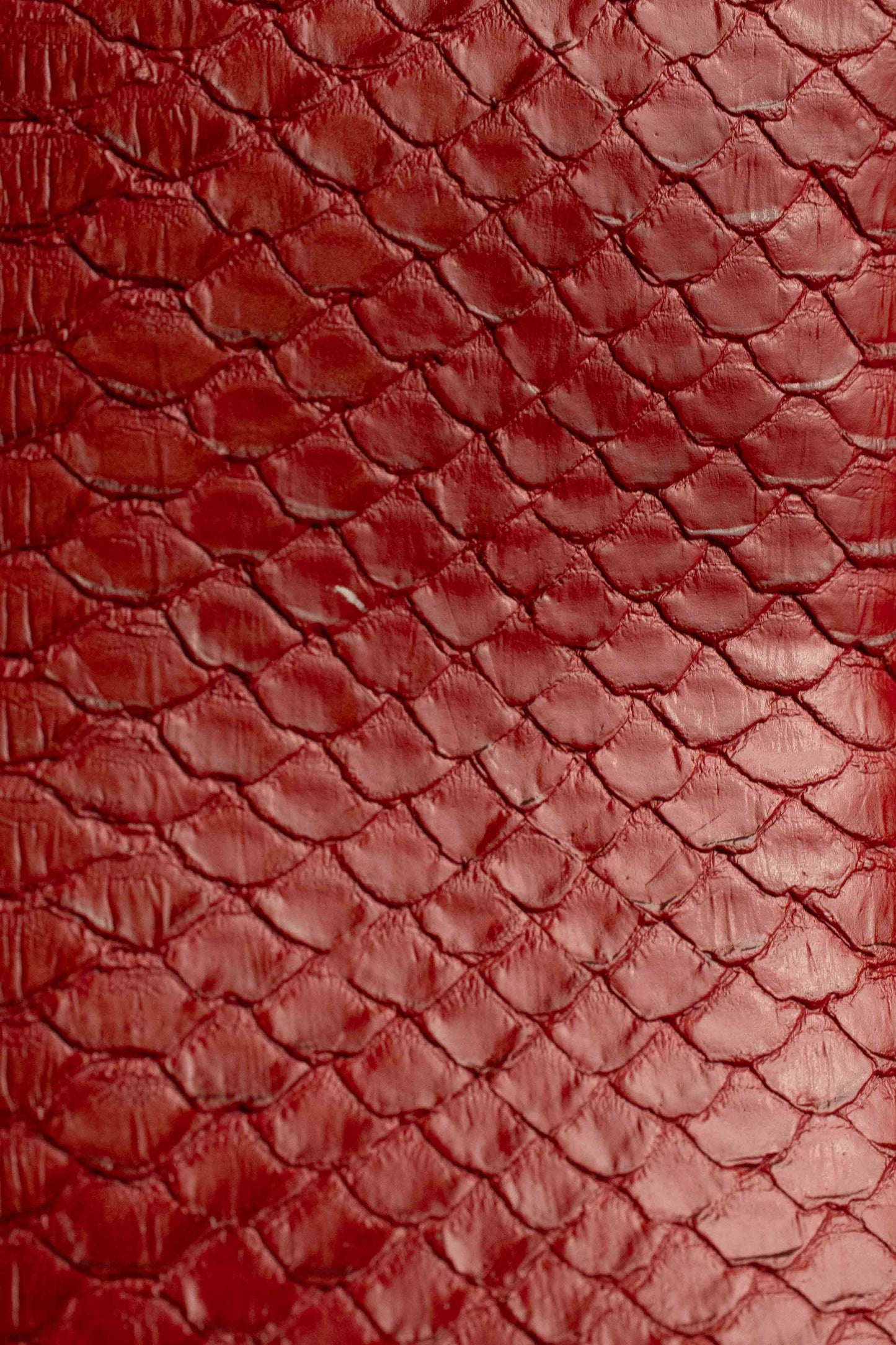 The Frankie | Red Pointed Toe Cap Bootie