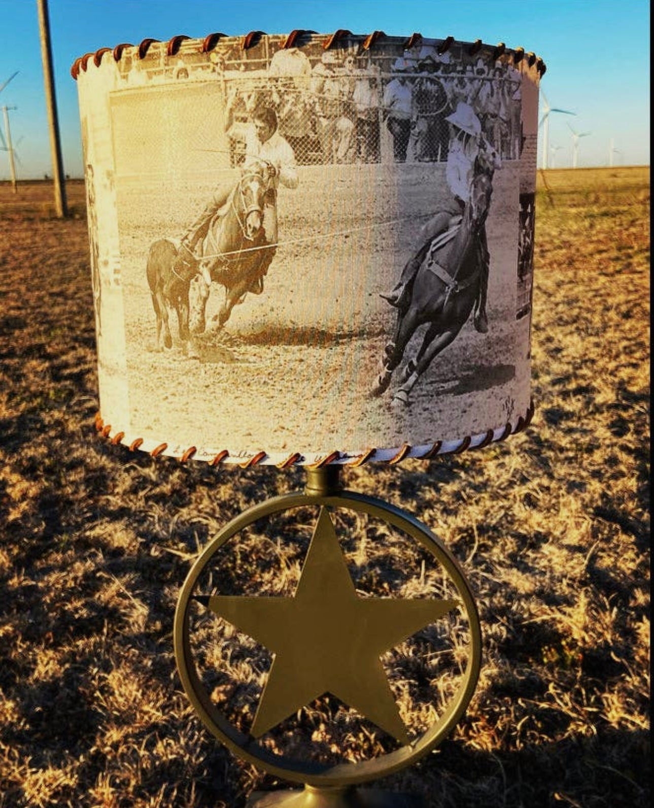 The Team Roping Lampshade