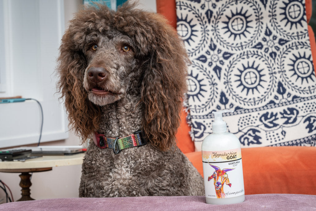 LIQUID SOAP - HONEYSUCKLE GOATS MILK 16 oz.