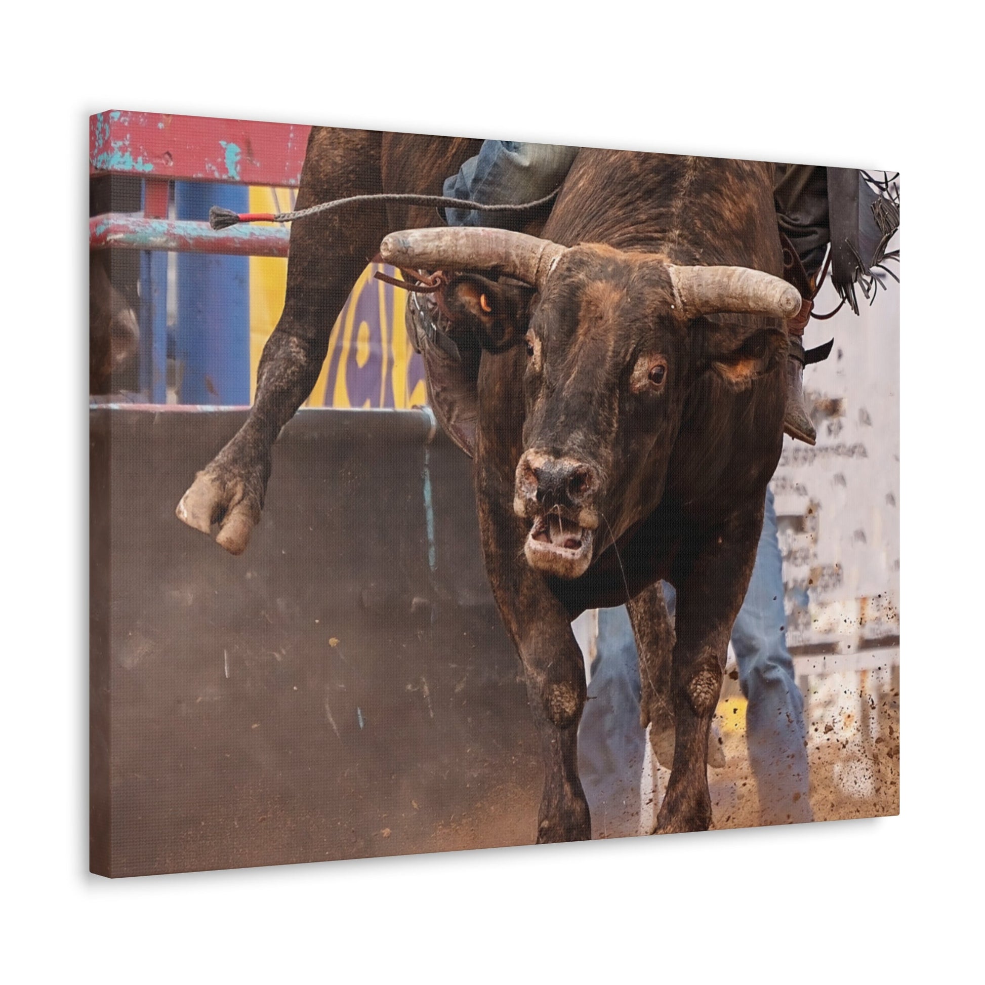 Bucking Bull Canvas Gallery Wraps - SmorgeousByGina