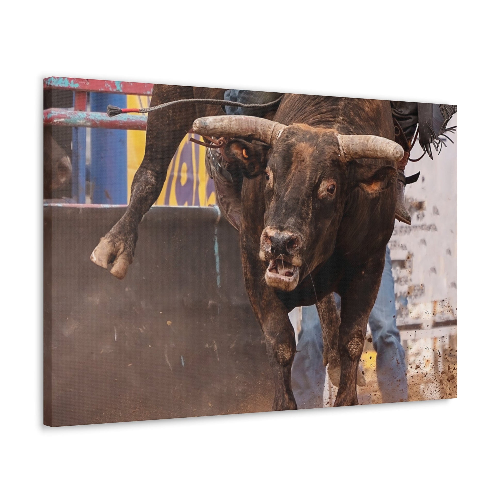 Bucking Bull Canvas Gallery Wraps - SmorgeousByGina