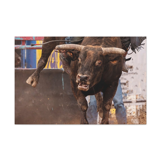 Bucking Bull Canvas Gallery Wraps - SmorgeousByGina