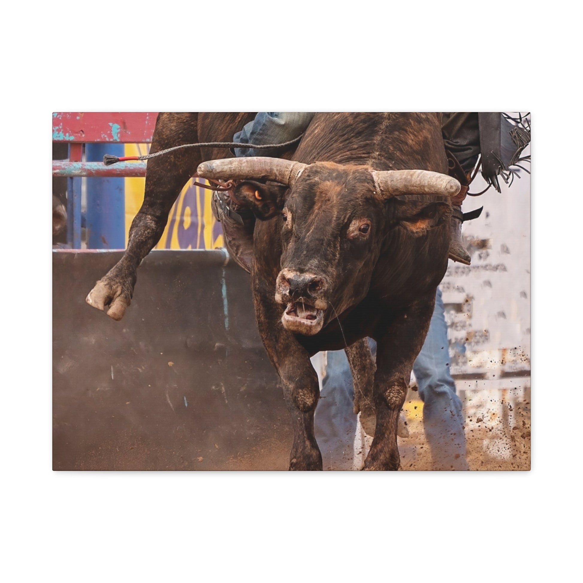 Bucking Bull Canvas Gallery Wraps - SmorgeousByGina
