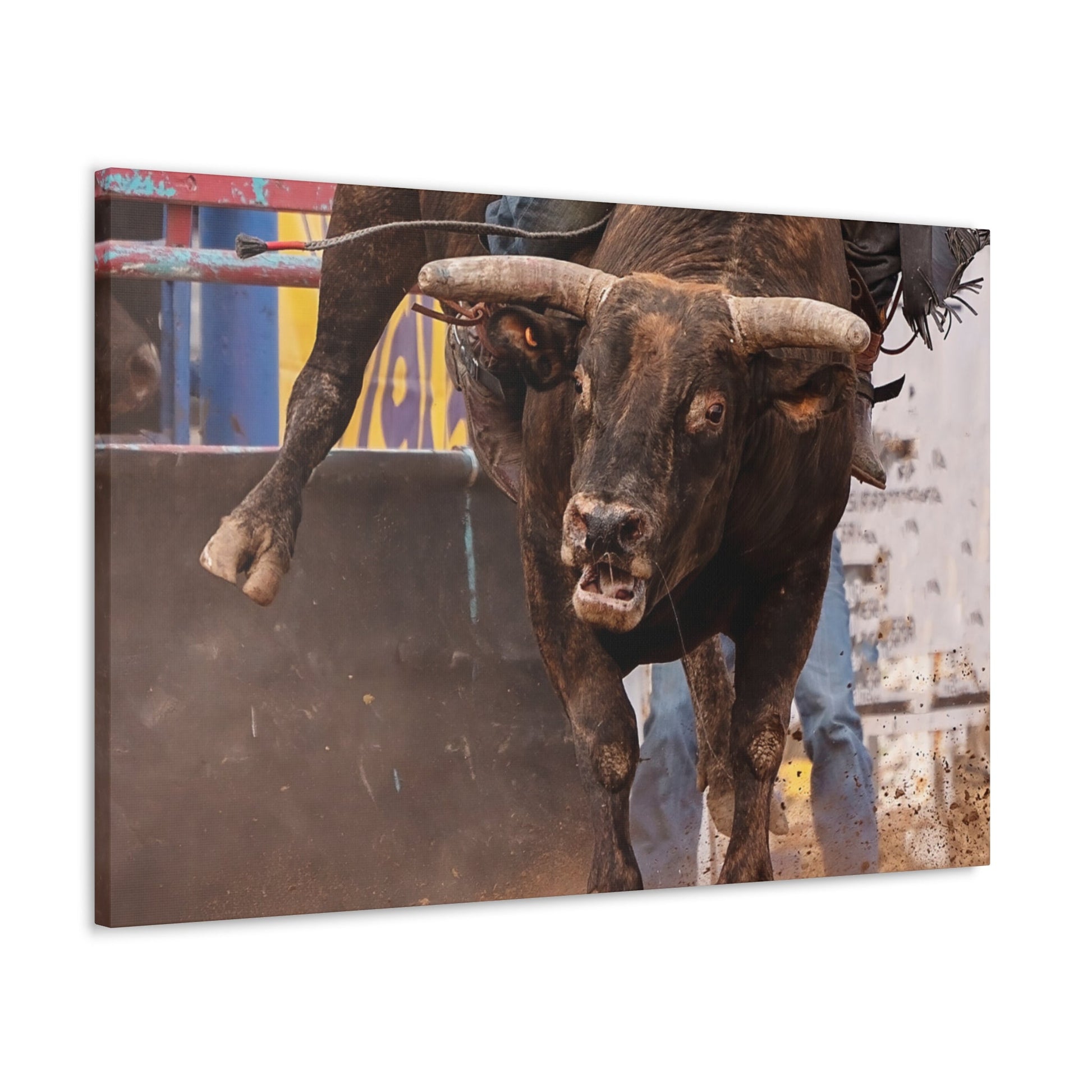 Bucking Bull Canvas Gallery Wraps - SmorgeousByGina