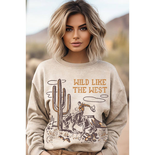 WILD LIKE THE WEST MINERAL GRAPHIC SWEATSHIRT