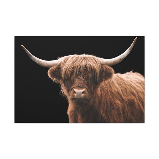 Canvas Gallery Wrap Highland Cattle Wall Art - SmorgeousByGina