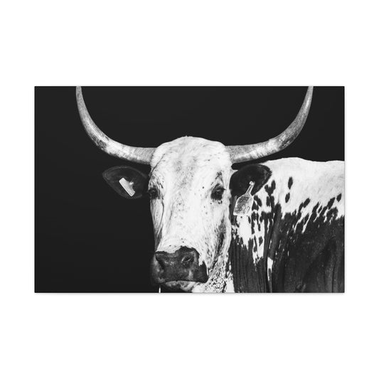 Canvas Gallery Wraps Rodeo Time - SmorgeousByGina