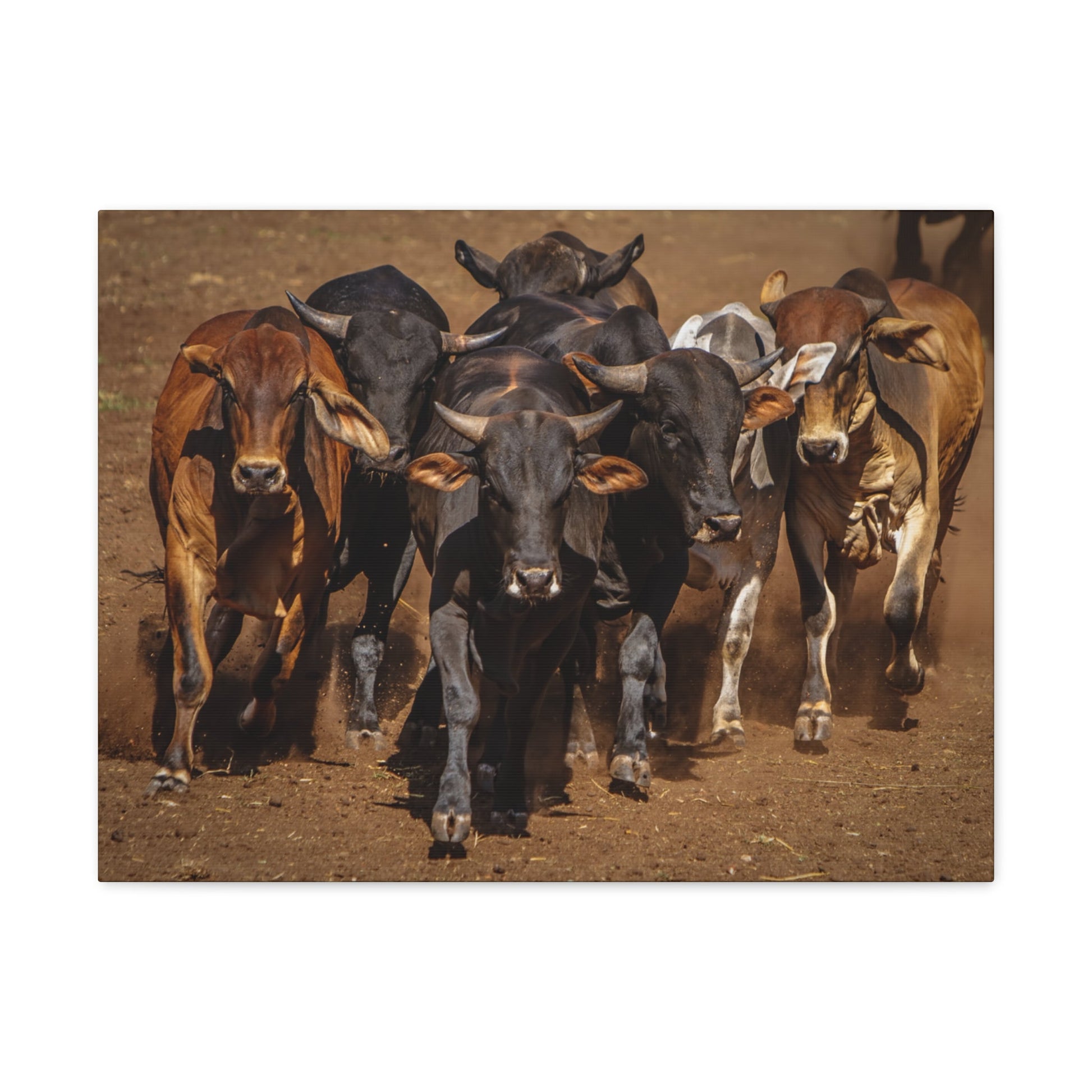 Canvas Gallery Wraps | The Herd Wildlife Animal Art Wall Decor - SmorgeousByGina