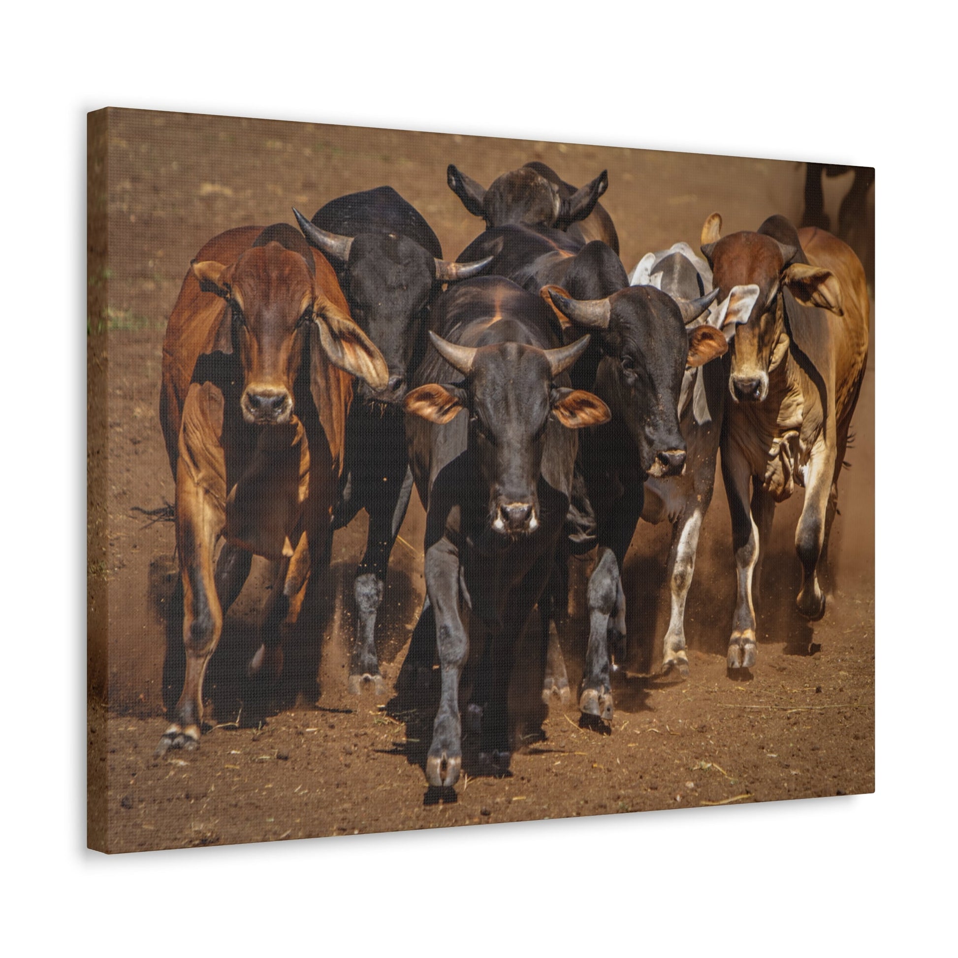 Canvas Gallery Wraps | The Herd Wildlife Animal Art Wall Decor - SmorgeousByGina