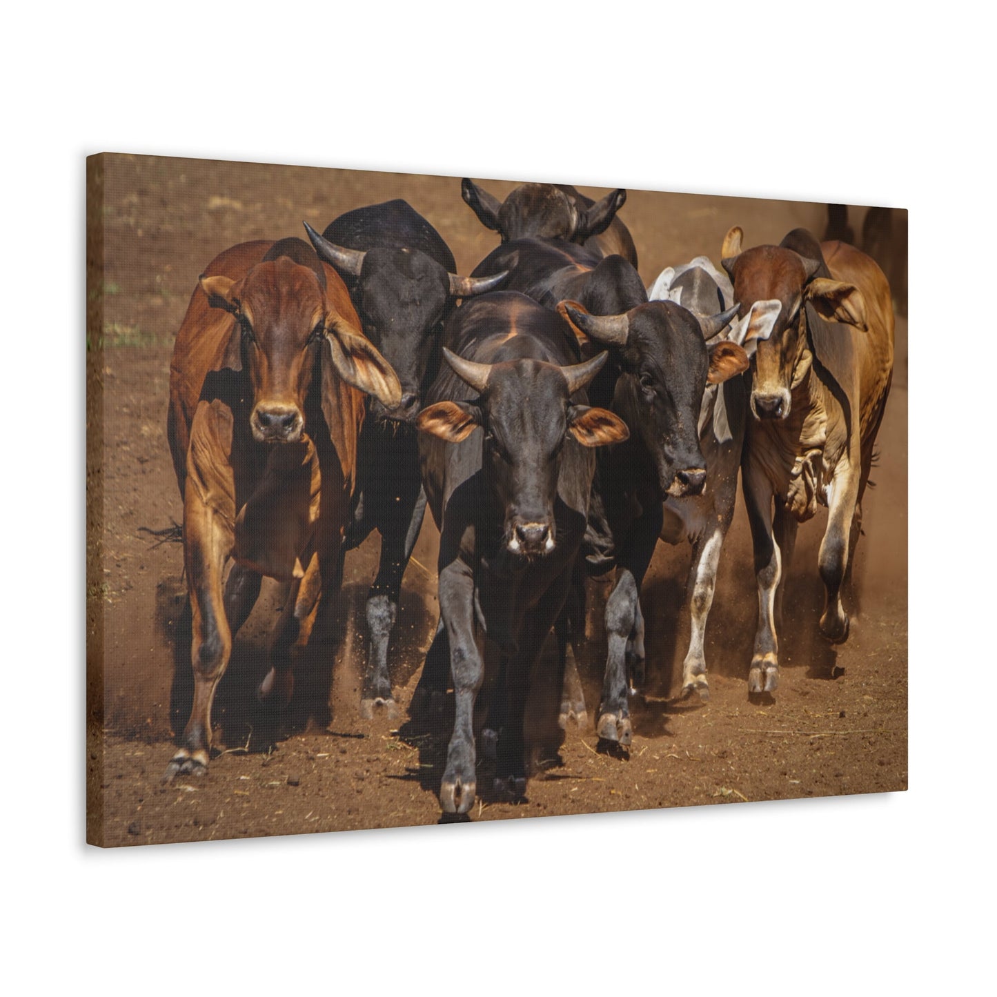 Canvas Gallery Wraps | The Herd Wildlife Animal Art Wall Decor - SmorgeousByGina