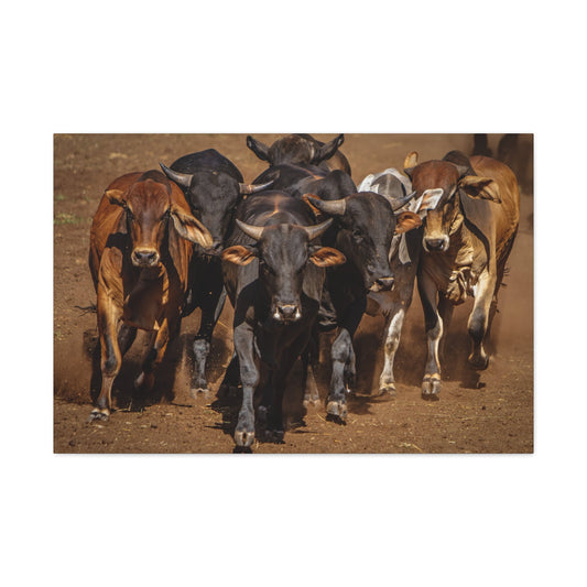 Canvas Gallery Wraps | The Herd Wildlife Animal Art Wall Decor - SmorgeousByGina