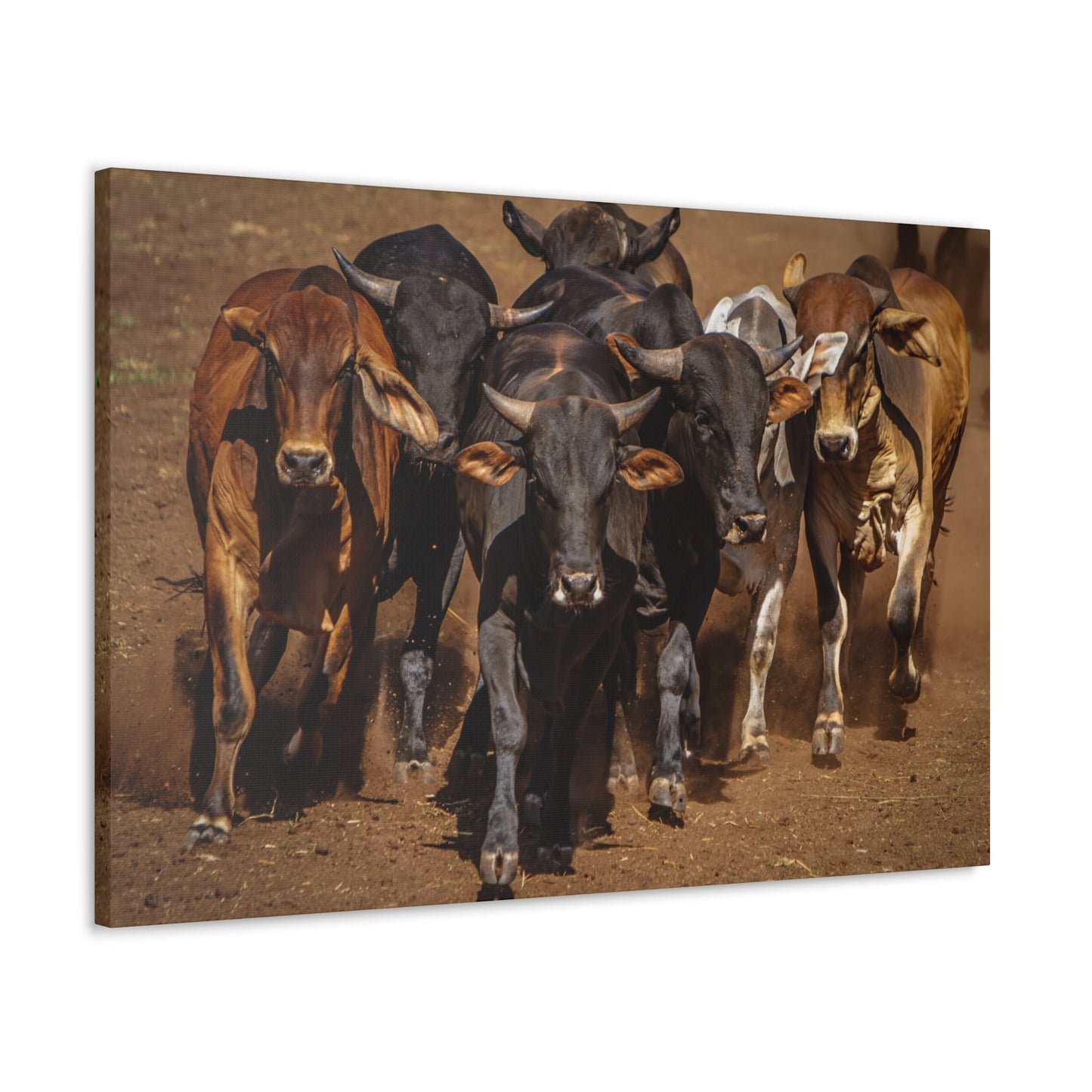 Canvas Gallery Wraps | The Herd Wildlife Animal Art Wall Decor - SmorgeousByGina