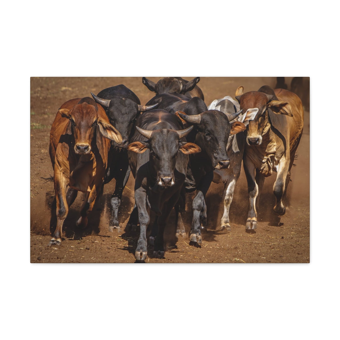 Canvas Gallery Wraps | The Herd Wildlife Animal Art Wall Decor - SmorgeousByGina