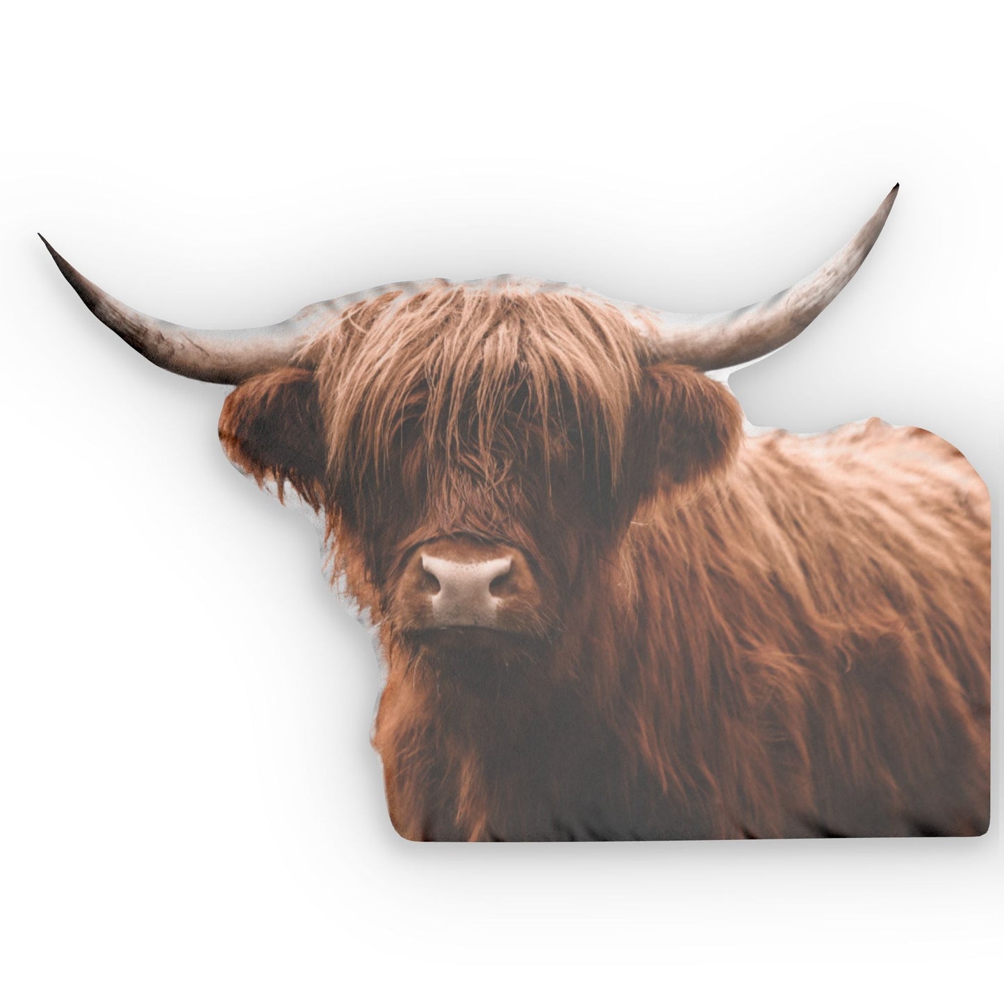 Highland Hattie Custom Shaped Pillow - SmorgeousByGina