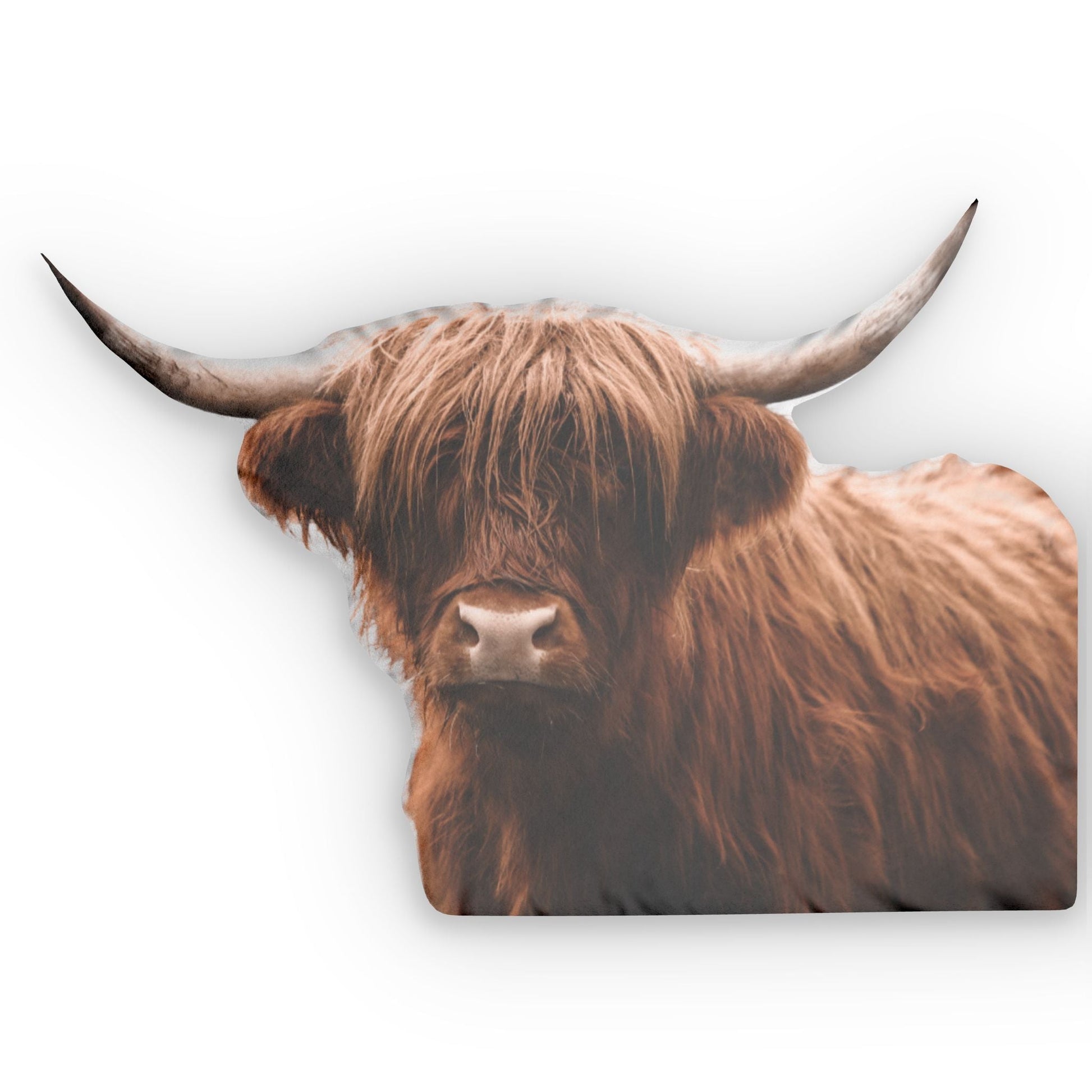 Highland Hattie Custom Shaped Pillow - SmorgeousByGina