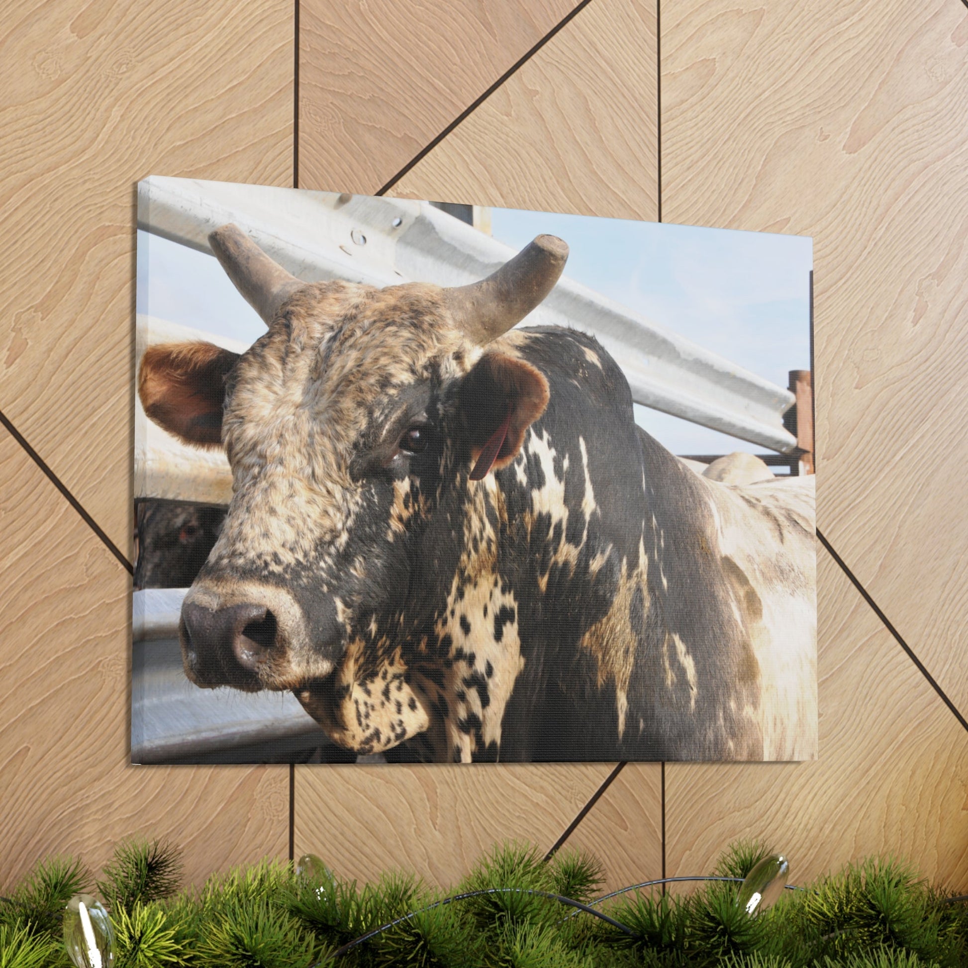 Rodeo Bull Canvas - SmorgeousByGina